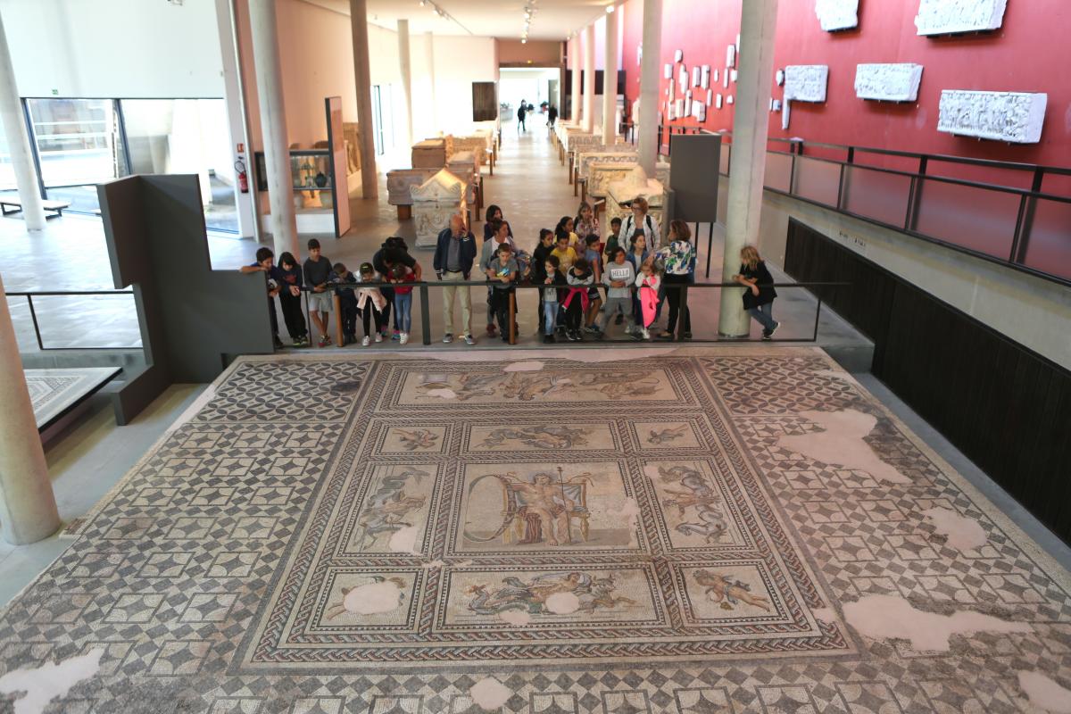 Préparez votre visite Musée Départemental Arles Antique